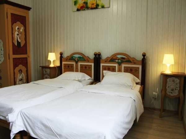 Hotel Casa Romaneasca 奥托佩尼 外观 照片