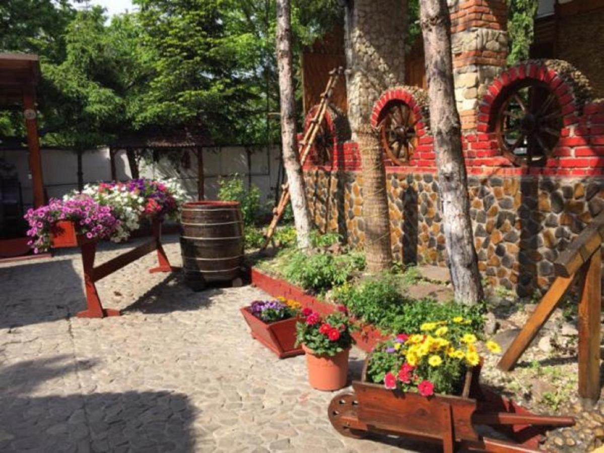 Hotel Casa Romaneasca 奥托佩尼 外观 照片