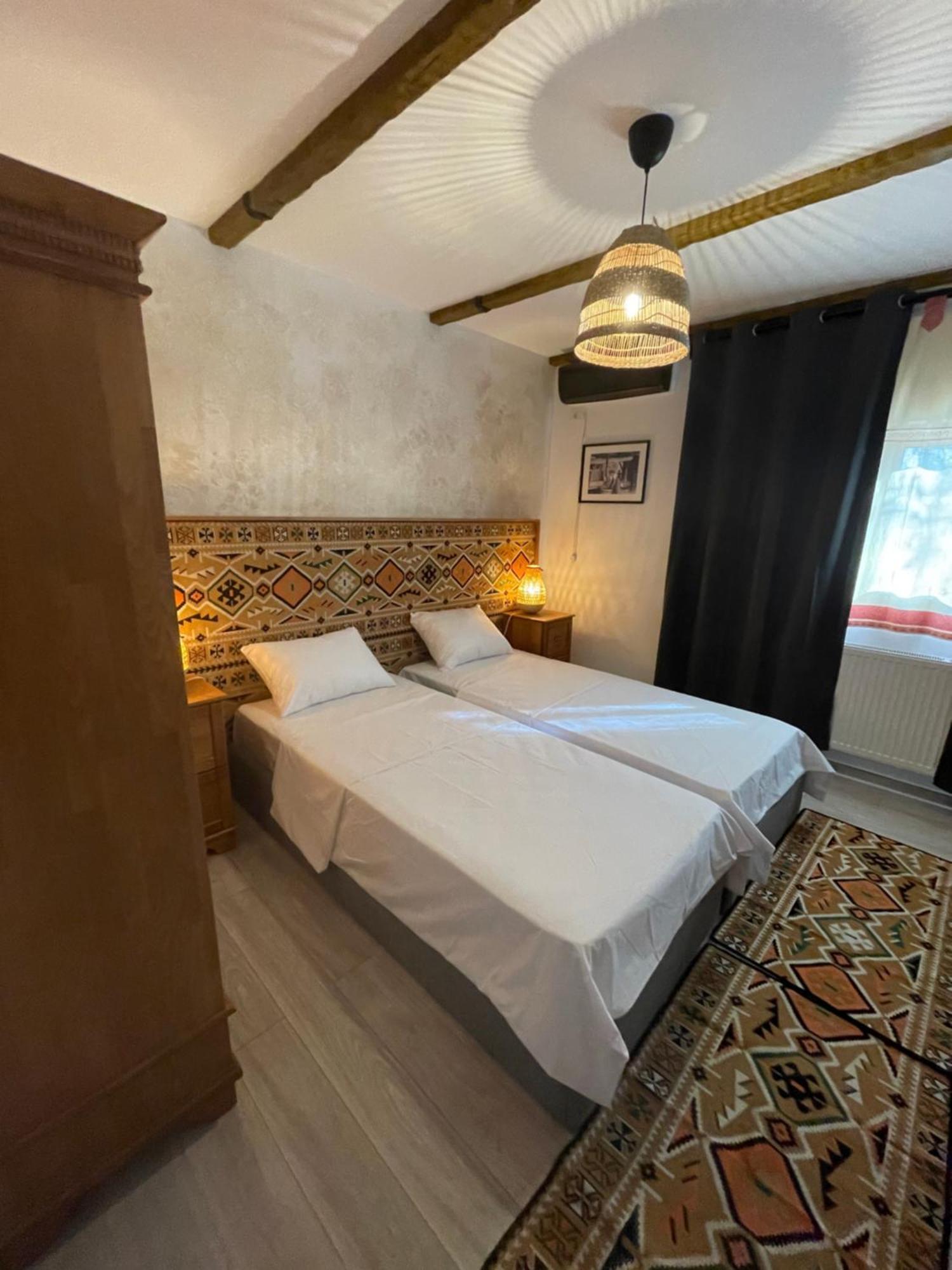 Hotel Casa Romaneasca 奥托佩尼 外观 照片
