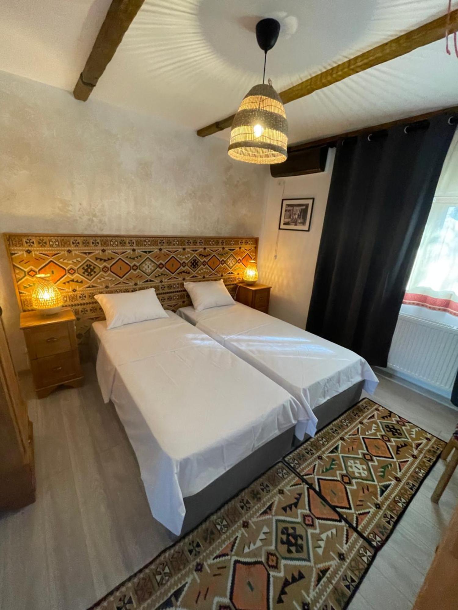 Hotel Casa Romaneasca 奥托佩尼 外观 照片